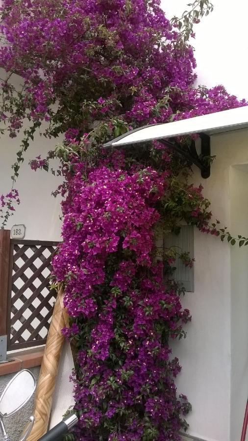 Rainbow House With Garden Villa Viareggio Exterior photo